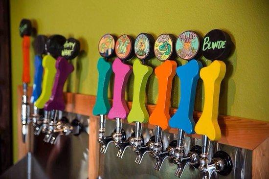 Fossil Cove Brewing Co.