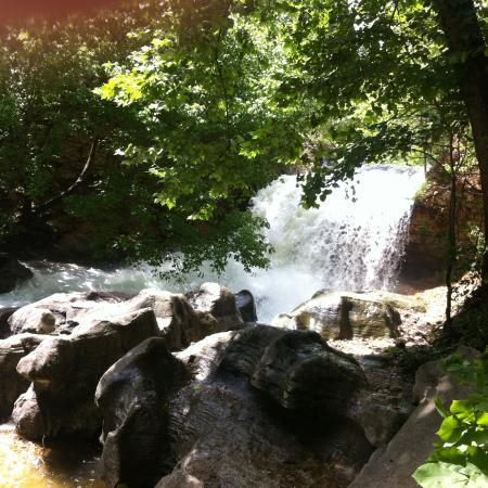 Tanyard Creek Nature Trail