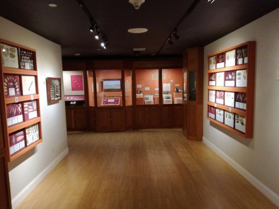 Museum of Native American History
